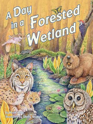 cover image of A Day in a Forested Wetland